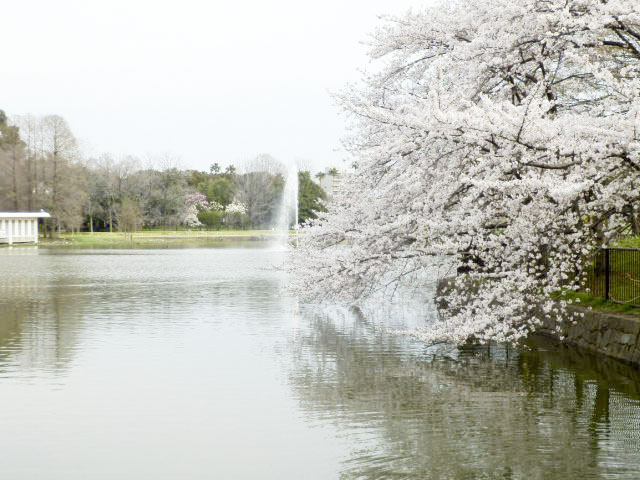 大阪市立 長居植物園2