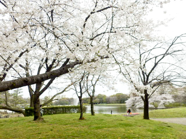 大阪市立 長居植物園3