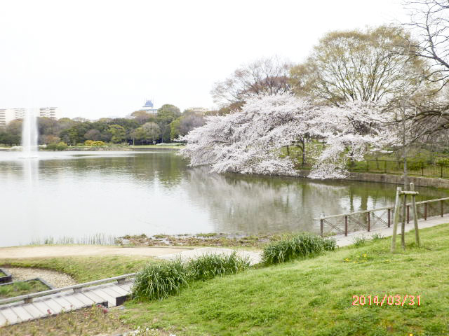 大阪市立 長居植物園6