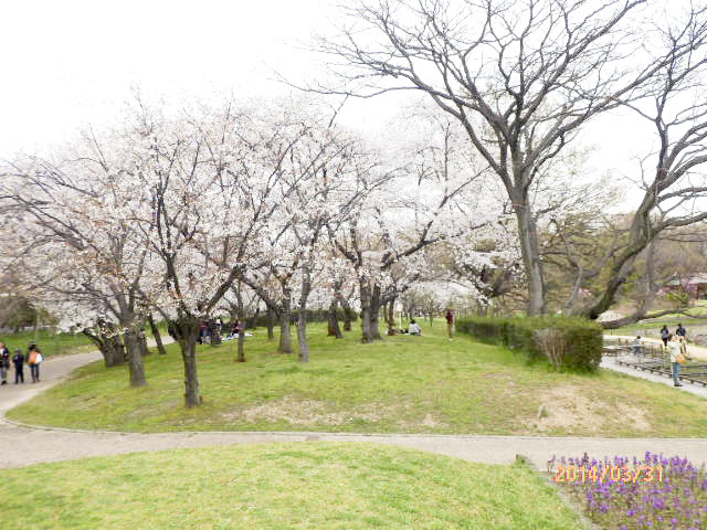 大阪市立 長居植物園7