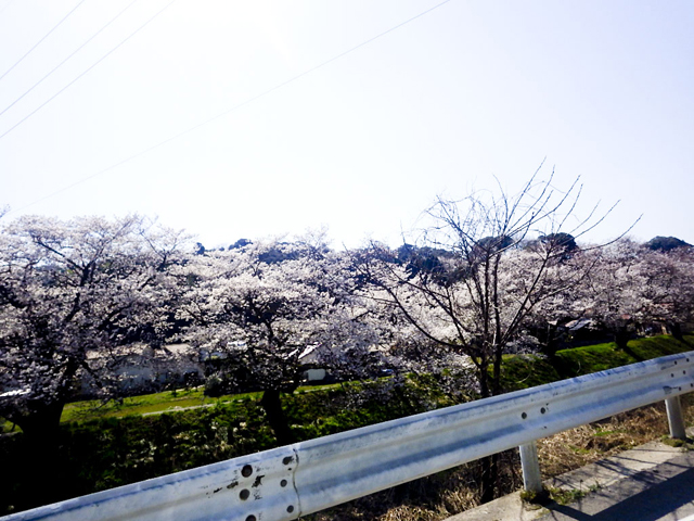 法勝寺城山公園2