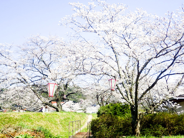 法勝寺城山公園3