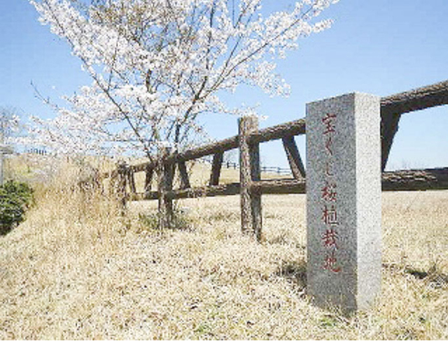 西山高原2