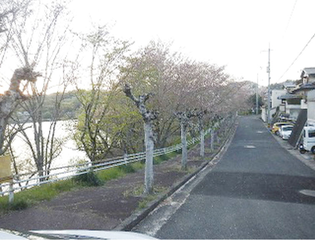 芳山緑地 芳賀佐山緑地1