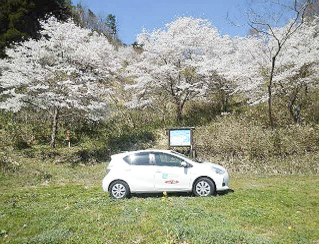 目地半島遊歩道1