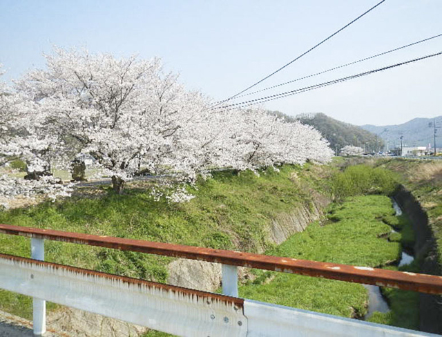 矢掛町道 沿道1