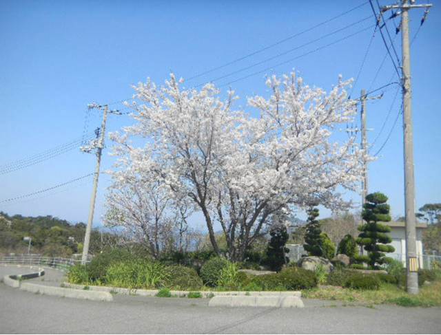 黄波戸温泉交流センター1