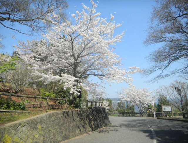 北長門海岸国定公園 笠山1