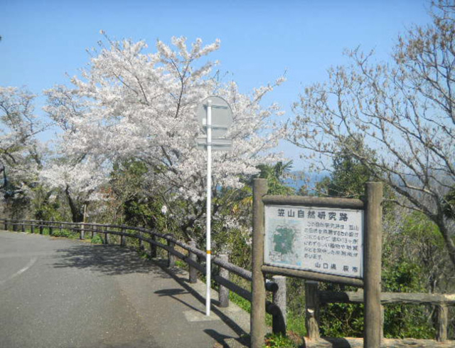 北長門海岸国定公園 笠山2