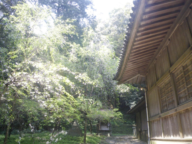 勝占神社2