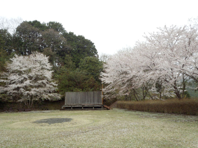 相生森林文化公園 あいあいらんど1