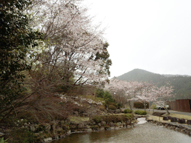 相生森林文化公園 あいあいらんど2