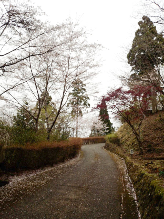 相生森林文化公園 あいあいらんど3