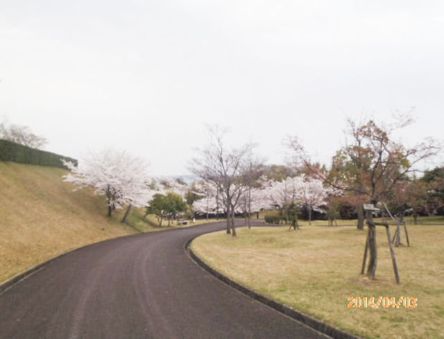 綾上町瀬戸内フラワーセンター周辺1