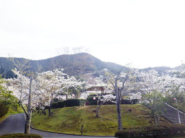 宇和運動公園2