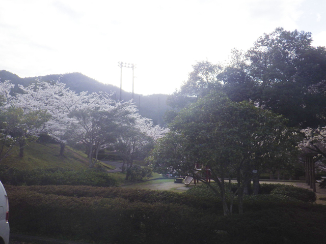 宇和運動公園3