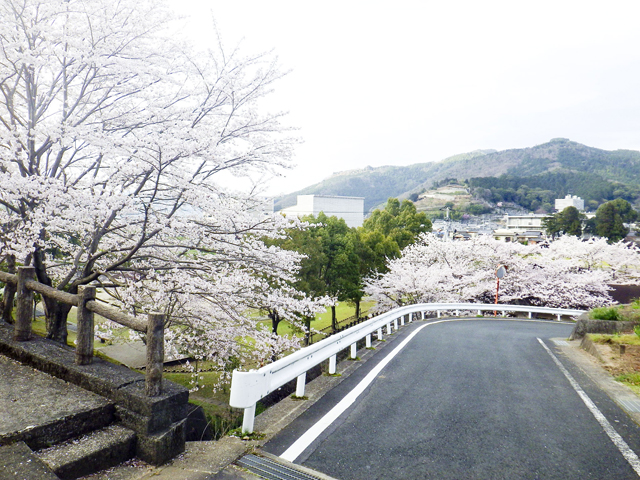 宇和運動公園5