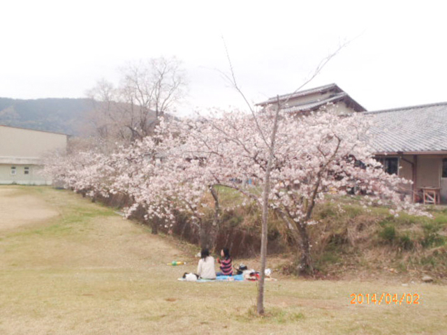 安芸市広域公園（童謡の里公園）1