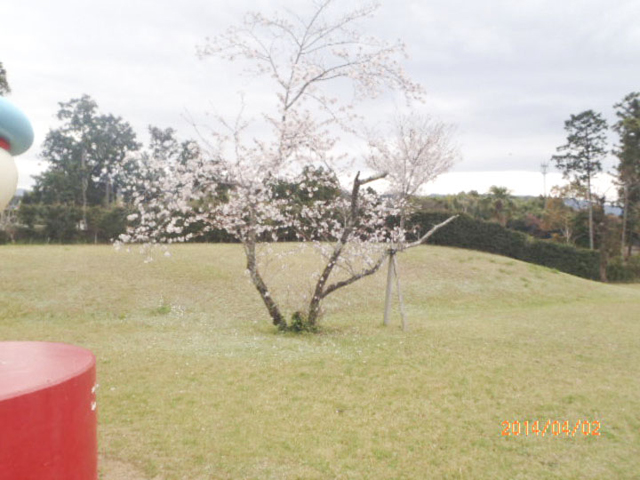 安芸市広域公園（童謡の里公園）2