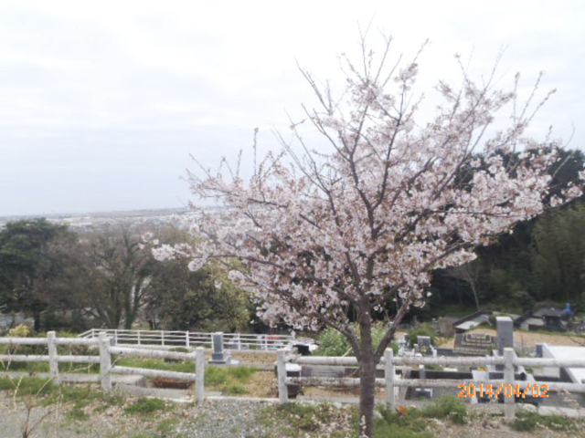 吾岡山憩いの広場1