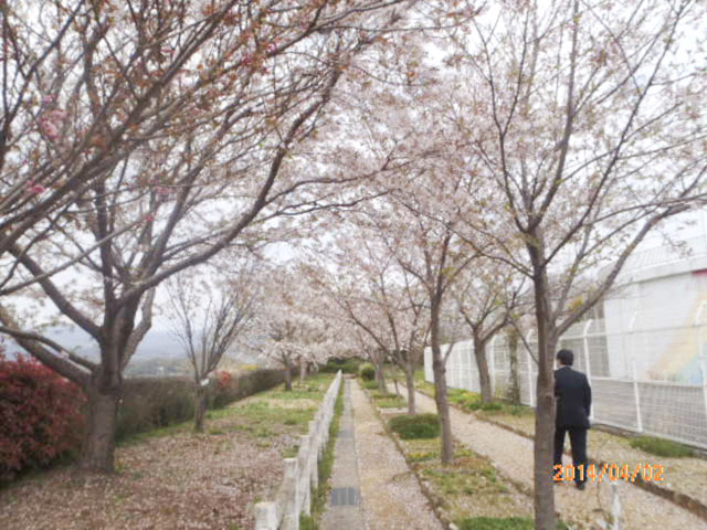 吾岡山憩いの広場2