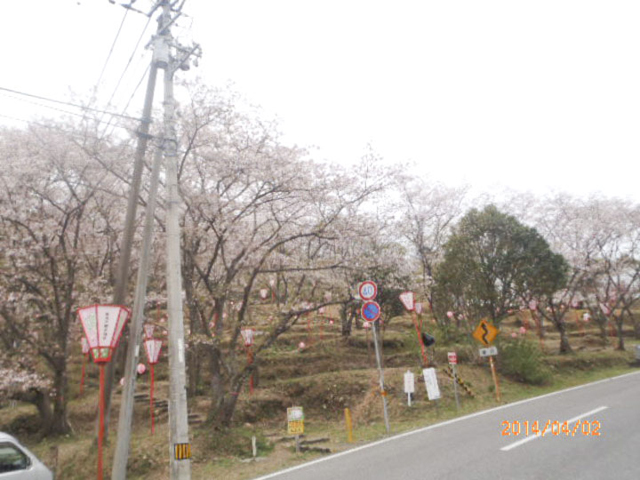 野市町都市計画公園1