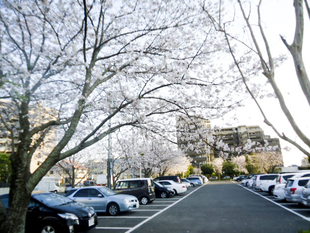 宮崎県農協会館2