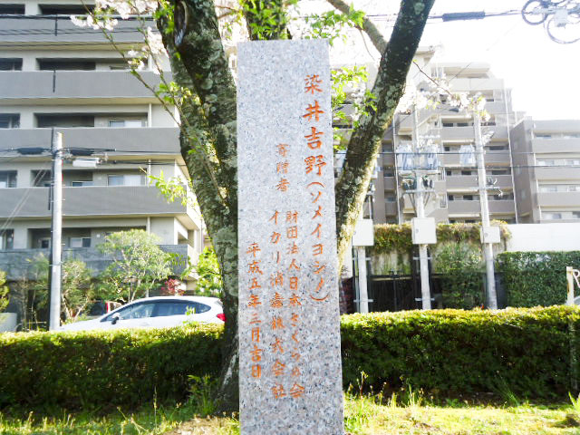宮崎県農協会館6