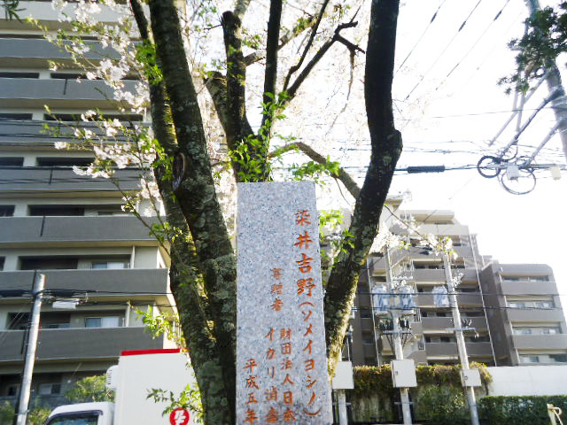 宮崎県農協会館7