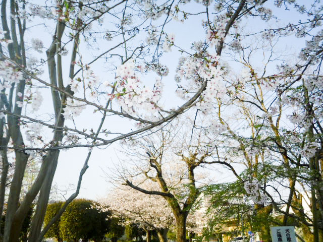 宮崎県農協会館9