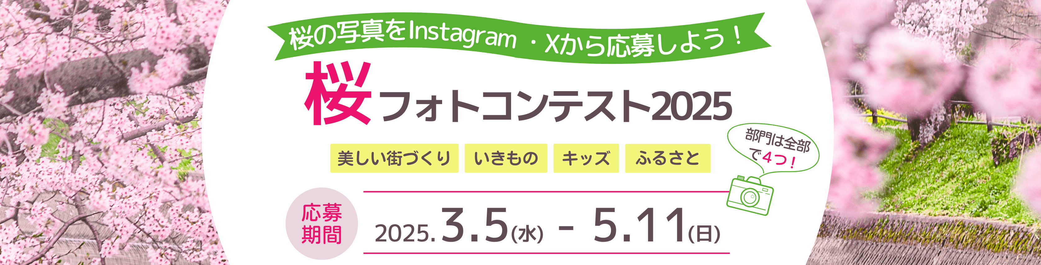 桜フォトコンテスト2025