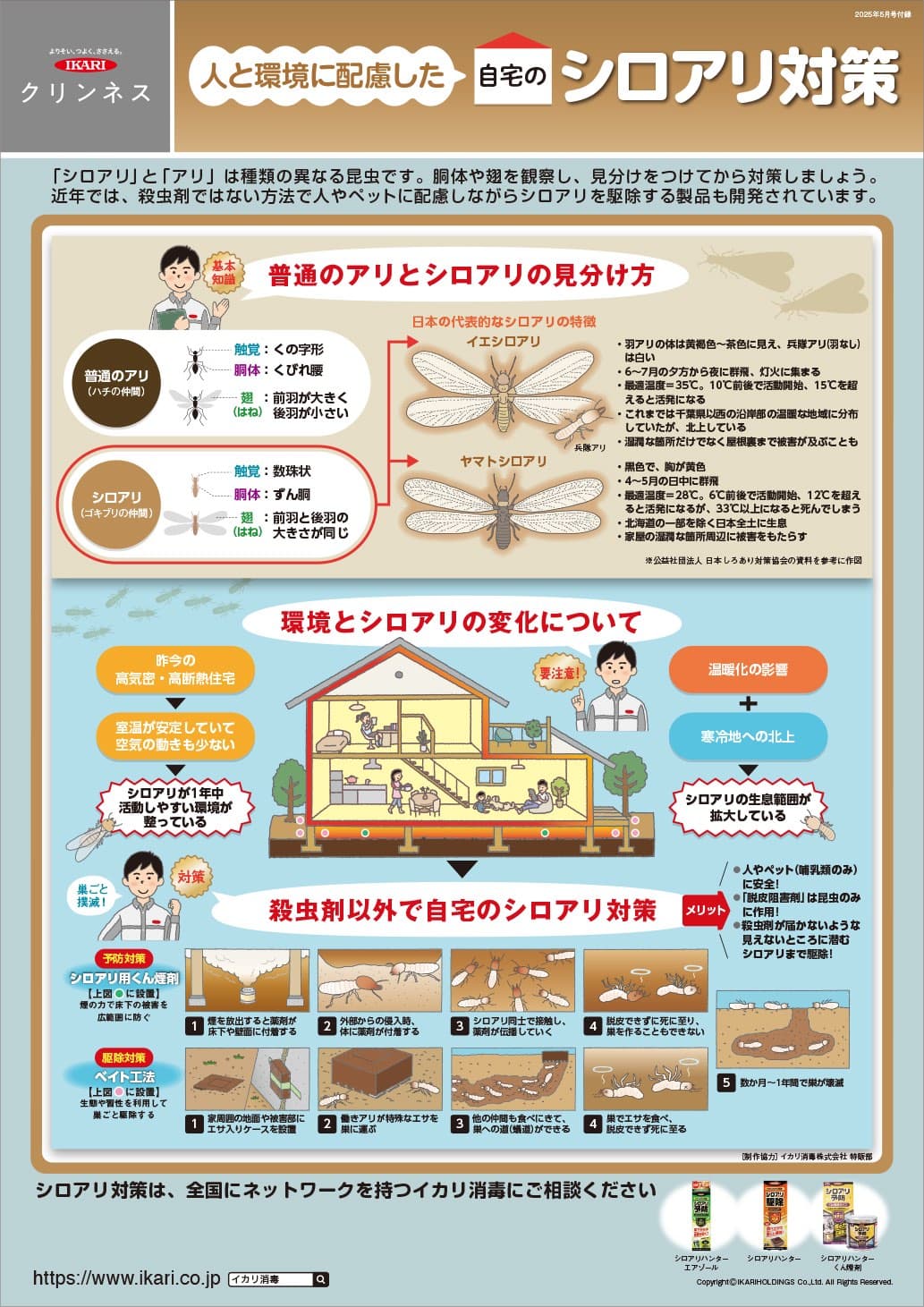人と環境に配慮した自宅のシロアリ対策