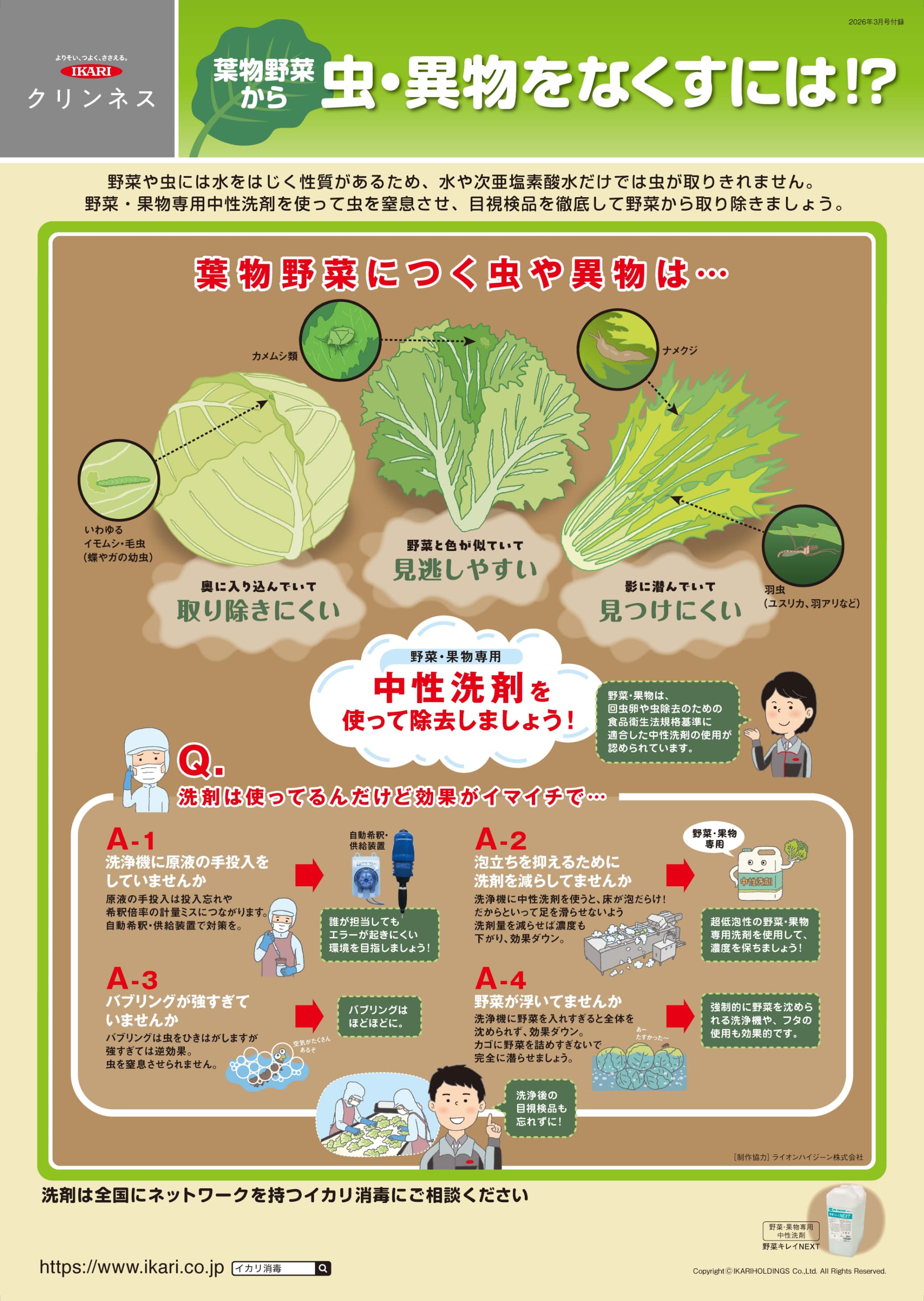 葉物野菜から虫・異物をなくすには⁉